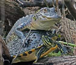 199286 B