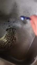 833635 B