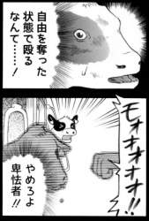 107756 B