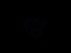 6290169 B
