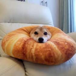 690966 B