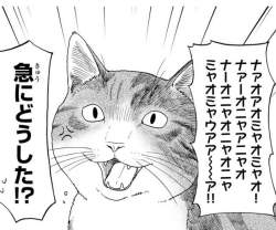 80283 B