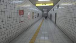 1176025 B