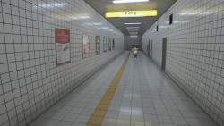 256532 B
