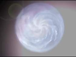 8081777 B