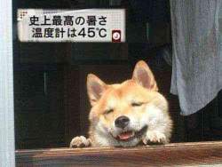 35988 B
