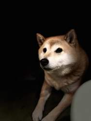745568 B