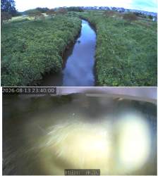432689 B