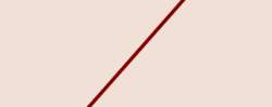 5019 B