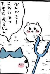 62538 B