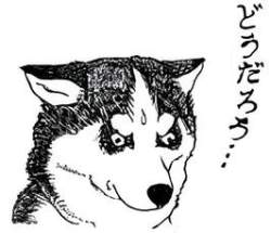 22443 B
