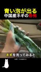 2808911 B