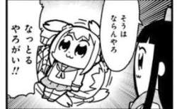 11333 B