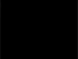 4613484 B