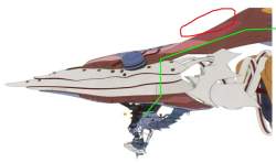 107602 B
