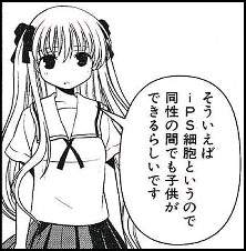 38644 B