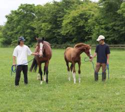 645706 B