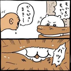 48030 B