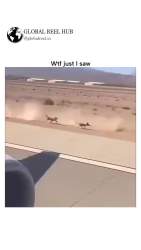 1338906 B