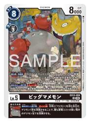 244520 B