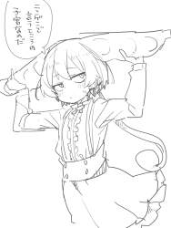 229595 B