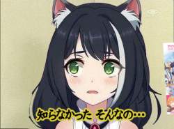 40540 B