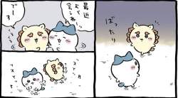52729 B