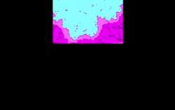 2854874 B