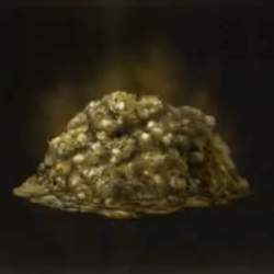 30505 B