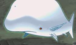 81760 B