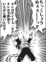 25244 B
