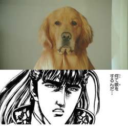 75592 B