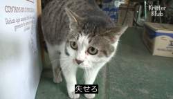 209382 B