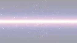 7904667 B