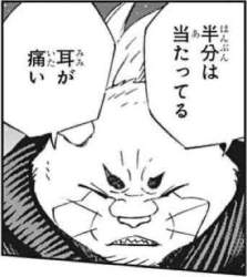 23676 B