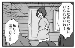 50533 B