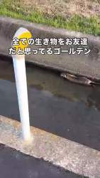 2455767 B