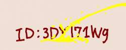 14173 B