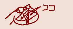 10513 B