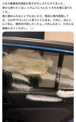 284732 B