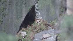 2012404 B