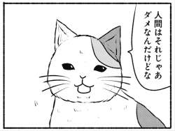 455507 B