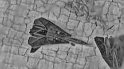 3051021 B