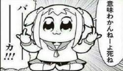 24337 B