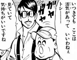55531 B