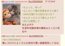 1068883 B
