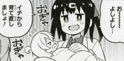 43053 B