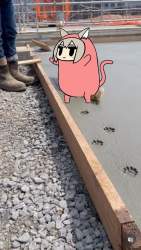 129656 B