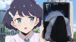 254788 B