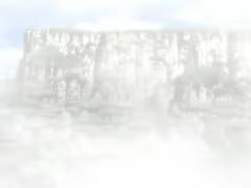 2040575 B